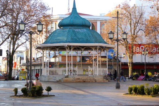 banner Mundo Telecomunicaciones llega a Valdivia con la red de fibra óptica más rápida y estable del país