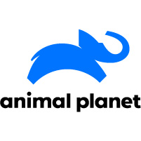 canal Animal Planet