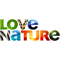 canal Love Nature