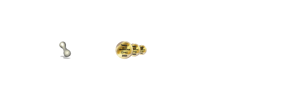 Logo 4