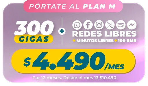 Portate al plal M 300 GIGAS $4.490/mes