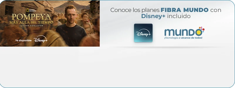 Banner Disney