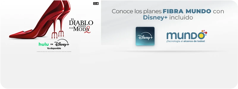 Banner Disney