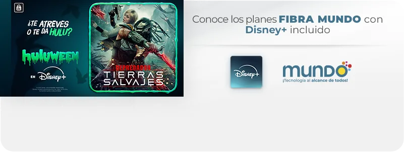 Banner Disney